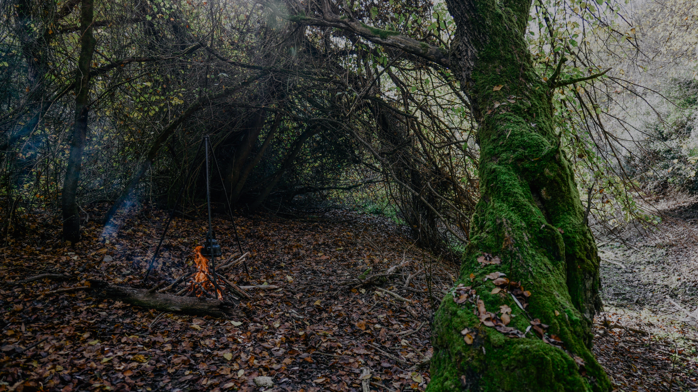 A moody forest scene with a small campfire burning on a leaf-covered ground, surrounded by dense trees and a large mossy tree trunk in the foreground.